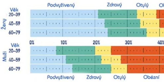 Otestujte si svou tělesnou kondici
